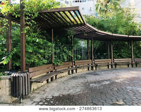 Residential Buildings And In The Courtyard Benches Surrounded With Green Plants In  Rishon Le Zion.