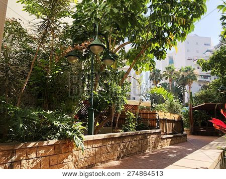 Residential Buildings And Surrounded With Green Plants In  Rishon Le Zion.