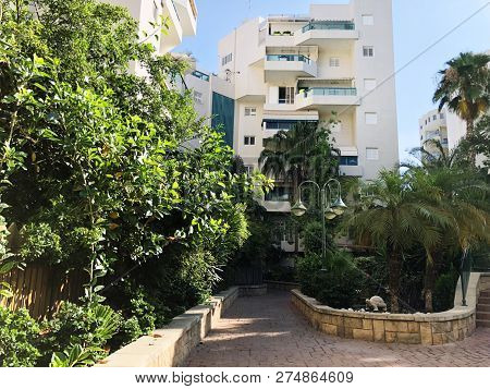 Residential Buildings And Surrounded With Green Plants In  Rishon Le Zion.