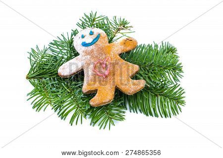 Smiling Gingerbread Man On Fir Tree Branch