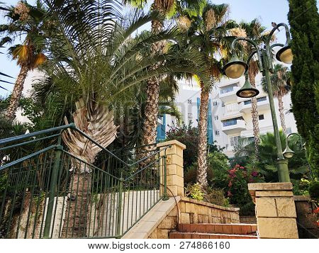 Residential Buildings And Surrounded With Green Plants In  Rishon Le Zion.