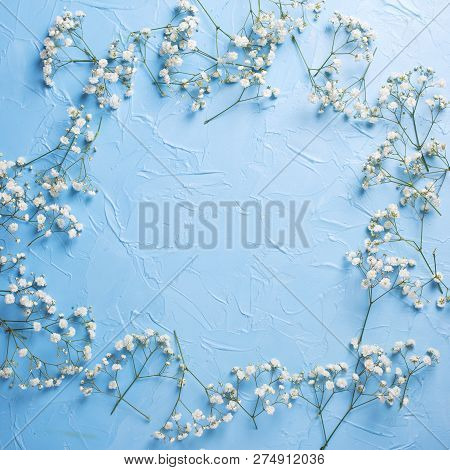 Frame From Fresh White Gypsofila  Flowers On Blue Textured Background. Top View. Flat Lay. Place For
