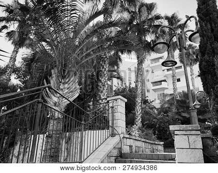 Residential Buildings And Surrounded With Green Plants In  Rishon Le Zion.