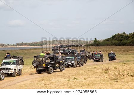 Kaudulla National Park, Sri Lanka - August 16, 2018: Big Row Of Jeeps With Tourists Inside Kaudulla 