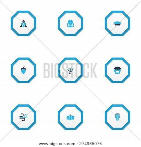 Seasonal Icons Colored Set With Jam, Berries, Apple Pie And Other Cedar Elements. Isolated Vector Il