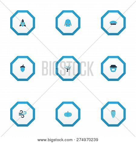 Season Icons Colored Set With Jam, Berries, Apple Pie And Other Cedar Elements. Isolated  Illustrati