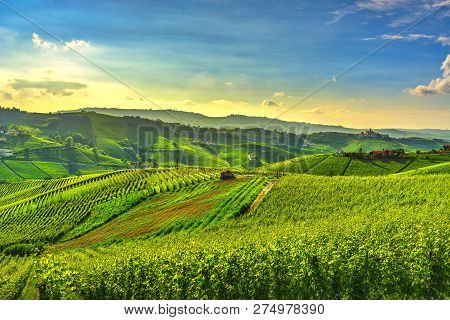 Langhe Vineyards Sunset Panorama, Castiglione Falletto And La Morra, Unesco Site, Piedmont, Northern
