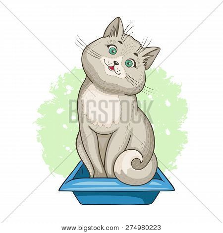 Cat That Sits In A сat Litter Tray. Hand Drawn Style Vector Design Illustrations