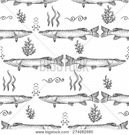Pike. Seamless Pattern Of Pike. Hand Drawn Sketch Vector Illustration