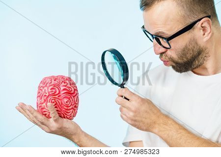 Adult Nerd Man Wearing Eyeglasses Looking At Human Brain Model. Thinking And Intelligence Conept