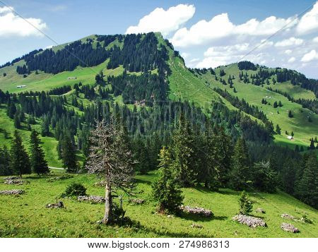 Stockberg Peak On The Obertoggenburg Mountain - Canton St. Gallen, Switzerland