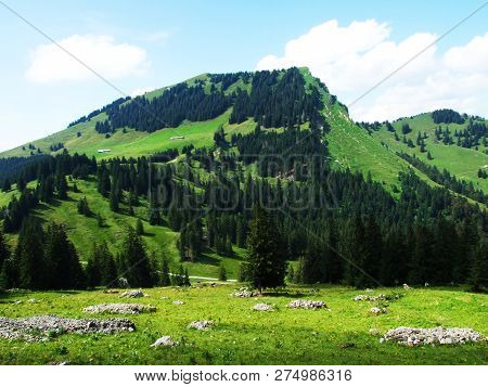 Stockberg Peak On The Obertoggenburg Mountain - Canton St. Gallen, Switzerland