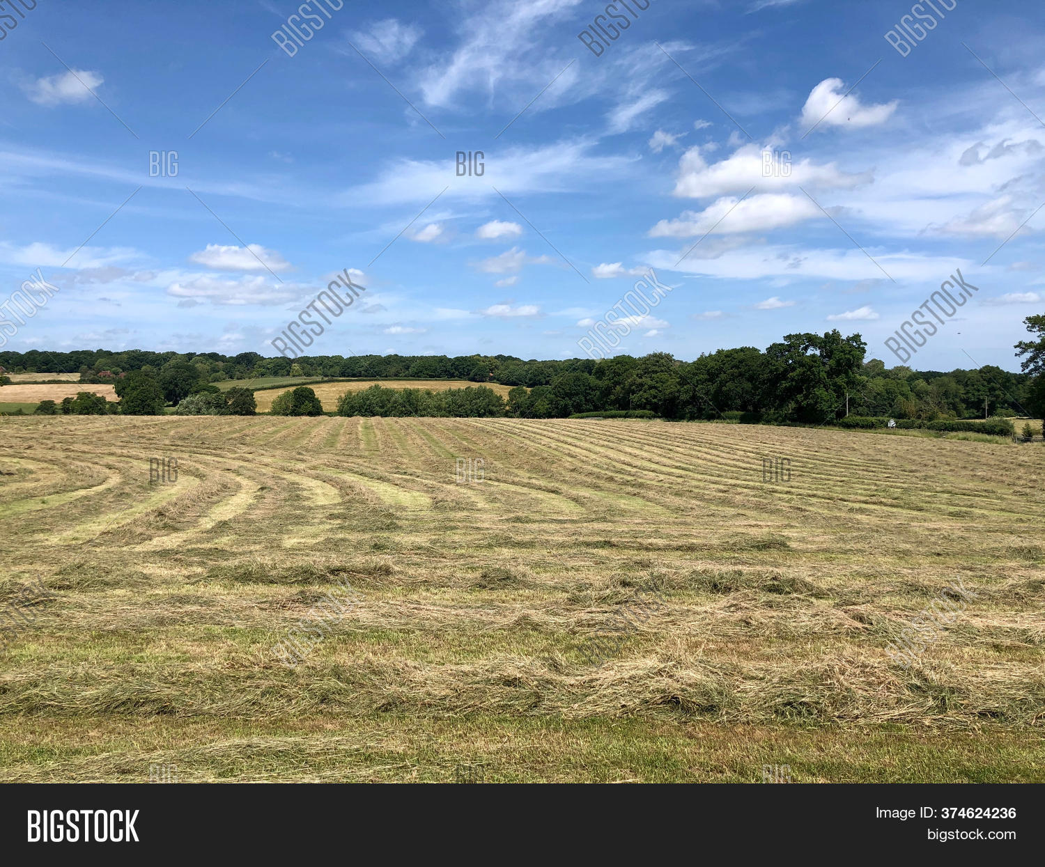 Cut Grass Drying Lines Image & Photo (Free Trial) Bigstock
