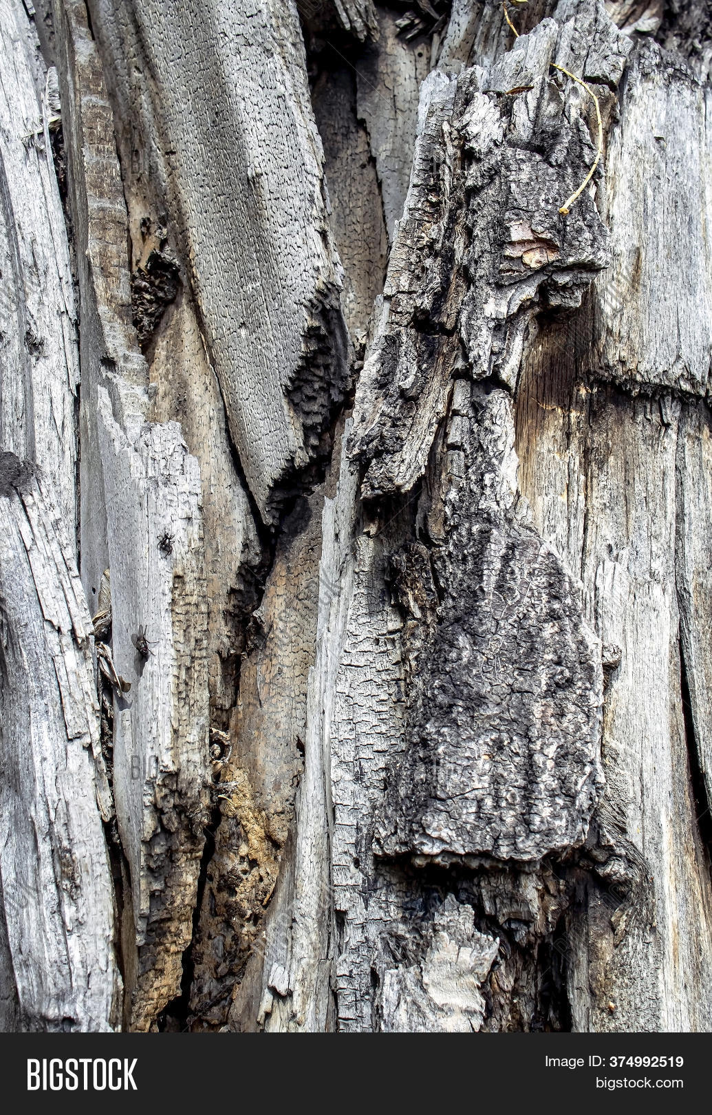 Texture Side Surface Image & Photo (Free Trial) | Bigstock