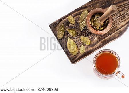 Erythroxylum Coca - Coca Leaf Infusion. Text Space