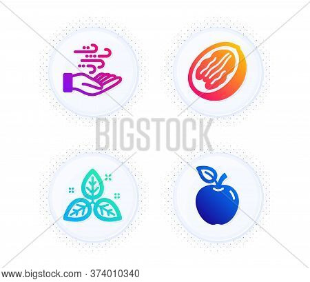 Pecan Nut, Wind Energy And Fair Trade Icons Simple Set. Button With Halftone Dots. Apple Sign. Veget