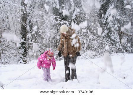 木から落ちてくる雪