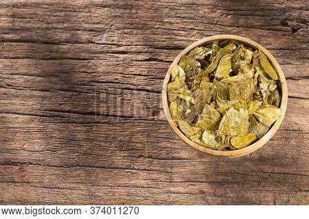 Erythroxylum Coca - Dried Coca Leaves. Text Space