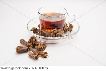 Hemidesmus Indicus Or Indian Sarsaparilla  Also Known As Anantamul Or Anant Bel Is A Species Of Plan
