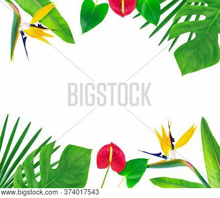 Frame With Colorful Tropical Leaves And Flowers.