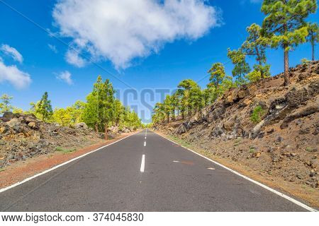 Landscape with road in pine grove, mountains, sea in Teide National Park, Tenerife, Canary Islands, Spain 