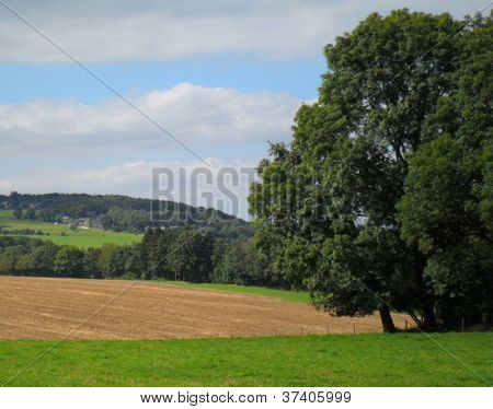 a árvore na farmside
