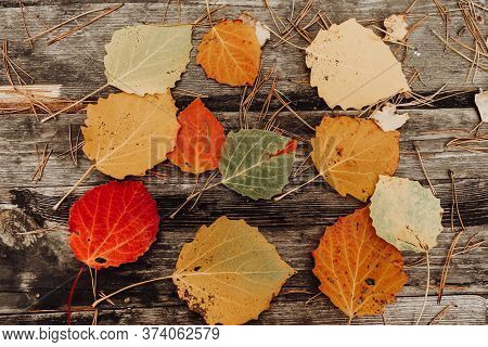 Natural Background From Autumn Leaves. Multi-colored Aspen Leaves And Pine Needles Lie On A Wooden T