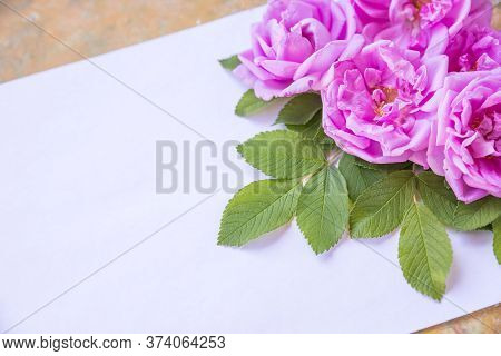 Creative Arrangement Of Pink Roses Bouquet With Free Space For Text. Mothers Day Postcard With Roses