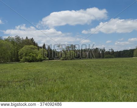 Idyllic Spring Landscape With Lush Green Grass, Fresh Deciduous, Spruce And Pine Tree Forest, Blue S