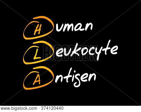 Hla - Human Leukocyte Antigen Acronym, Medical Concept Background