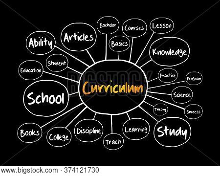 Curriculum Mind Map, Education Concept For Presentations And Reports