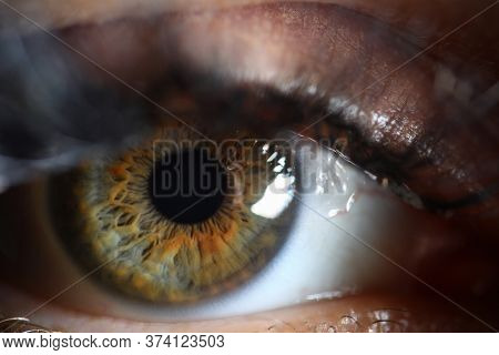 Close-up Of Green-brown Pupil Contracting And Expanding. Good Vision. Contact Lenses. Eye Health And