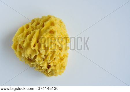 Top View Of Natural Sea Bath Cleaning Yellow Sponge For Washing On White Background, Close-up Stock 