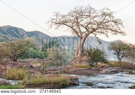 A Baobab Tree After Sunset On An Island In The Kunene River At The Top Of The Epupa Waterfalls