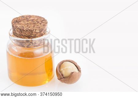Nuts And Macadamia Oil - Macadamia Integrifolia.