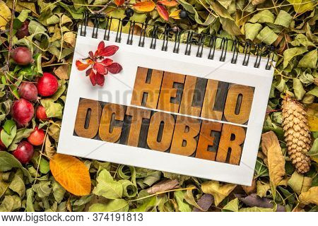 hello October - text in vintage letterpress wood type in an art sketchbook against dry leaves, berries, cones and crab apples, fall holidays greeting card concept