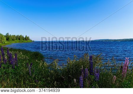 Scenes Of The Beautiful Siljan Lake And Its Rural Surrounding On A Sunny Summer Morning.