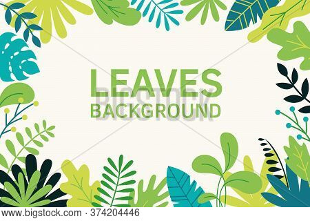 Bushes, Plants And Herbs Background In Madern Flat Style. Frame Template For Cards, Posters, Banners