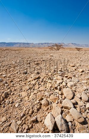 West Bank