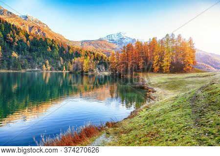 Spectacular Autumn View Of Champfer Lake. Mirror Reflaction In Lake. Location: Silvaplana, Maloya Di