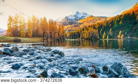 Dramatic Autumn View Of Champfer Lake At Sunset. Shallow Depth Of Field. Location: Silvaplana, Maloy