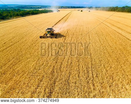 Aerial Drone View: Combine Harvesters Working In Wheat Field On Sunset. Harvesting Machine Driver Cu