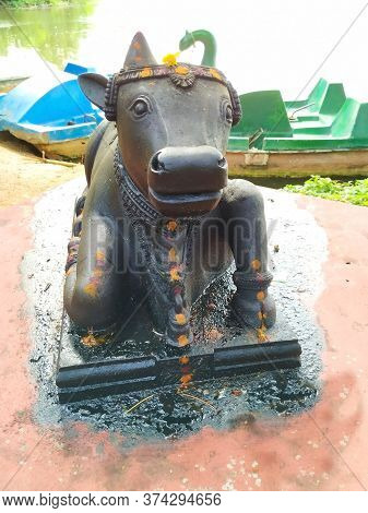 Mysore, Karnataka/india-oct 31 2019: Closeup Of Black Color Nandi Statue Inside The Mysore Zoo, Near
