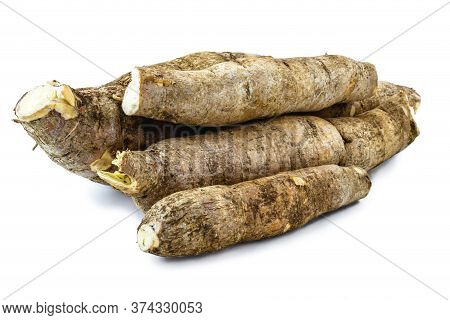 Brazilian Cassava, A Species Of Tuberous Plant In The Euphorbiaceae Family. Isolated White Backgroun
