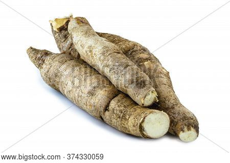 Brazilian Cassava, A Species Of Tuberous Plant In The Euphorbiaceae Family. Isolated White Backgroun