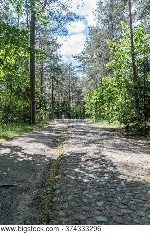 Wolka Okraglik, Poland - June 2, 2020: Path In The Treblinka Extermination Camp.
