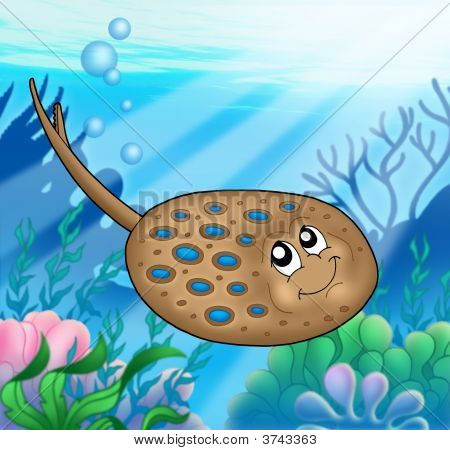 Blue Spotted Ray uinti meressä