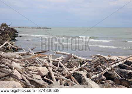 Dry Branches Of A Trees On The Mouth Of River And The Sea In Background