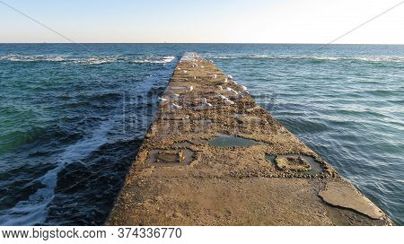 White Seagulls Walk On The Sea Pier In Sunny Weather