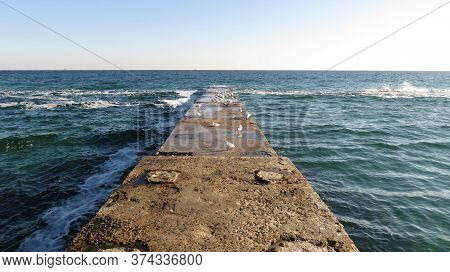 Seagulls Live All Day On The Sea Pier In Sunny Weather
